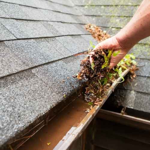 Gutter Cleaning