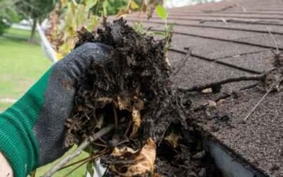 Professional Gutter Cleaning in Irmo, SC: What Every Homeowner Needs to Know