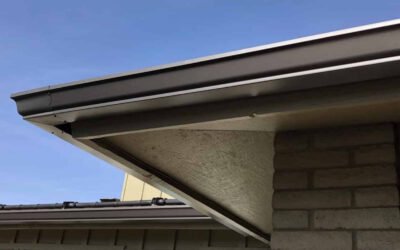 Protect Your Home with Gutter Cleaning, Professional Services, and Gutter Protection Systems